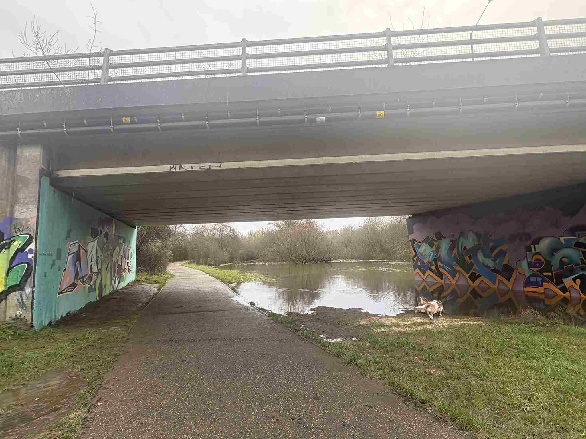  Under the Bader WAy bridge the 